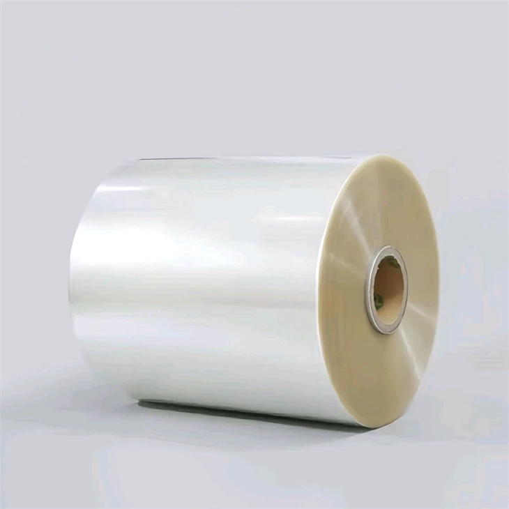Polylactic Acid Biopolymer Film Polylactic Acid Biopolymer Film