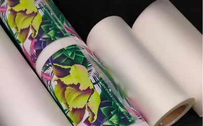 DTF Film printing DTF Film printing