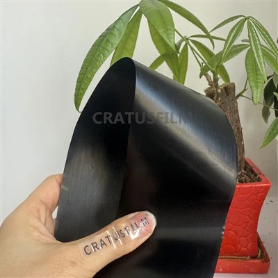 Ultra-high Molecular Weight Polyethylene Film